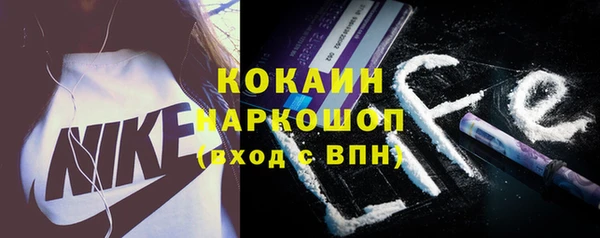 индика Беломорск