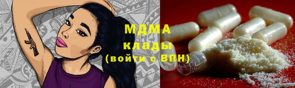 индика Беломорск