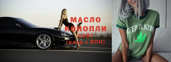 индика Беломорск