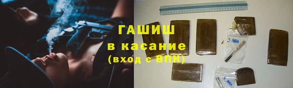 индика Беломорск