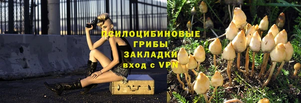индика Беломорск