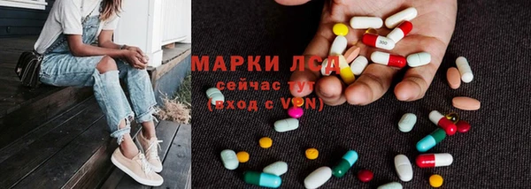 индика Беломорск