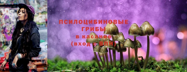 кристаллы Белоозёрский