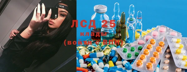 индика Беломорск
